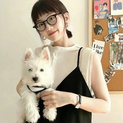 甄嬛传